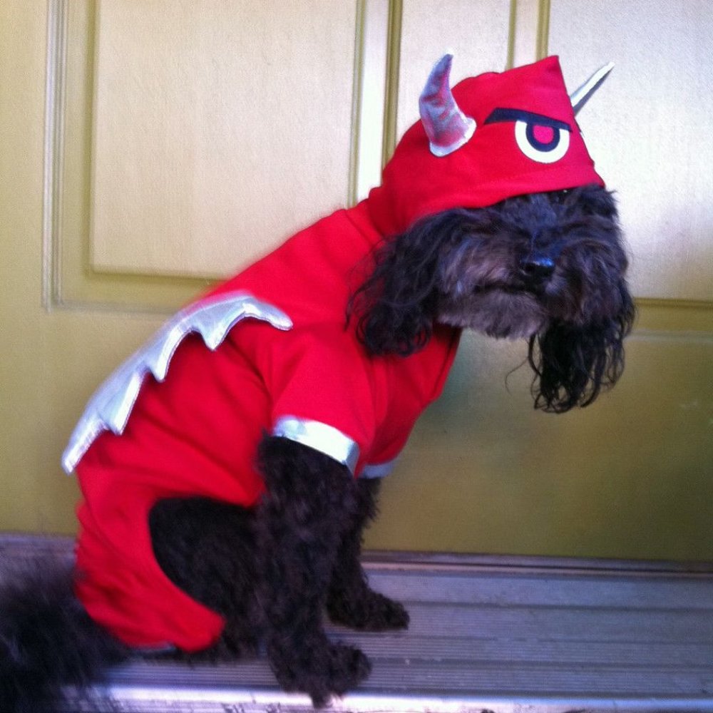Martha Stewart Red Devil Sea Monster Dog Costume M